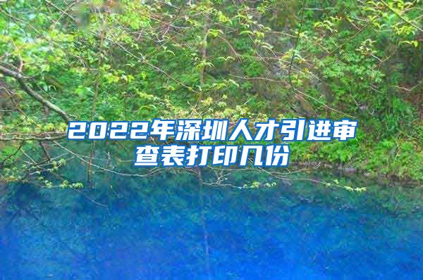 2022年深圳人才引进审查表打印几份