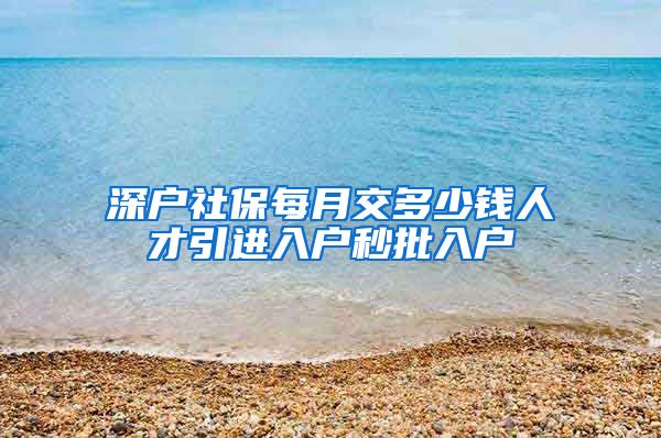 深户社保每月交多少钱人才引进入户秒批入户