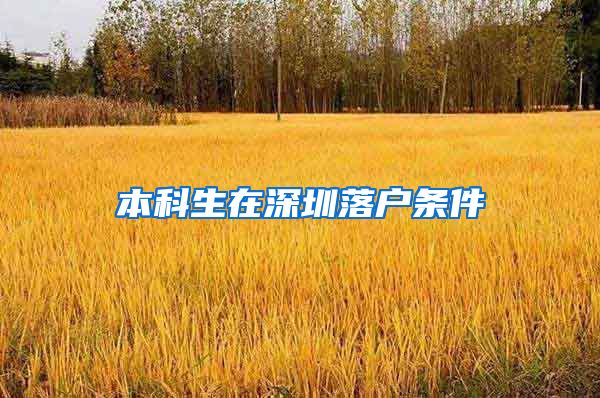 本科生在深圳落户条件