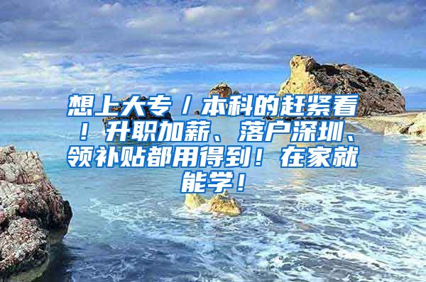 想上大专／本科的赶紧看！升职加薪、落户深圳、领补贴都用得到！在家就能学！