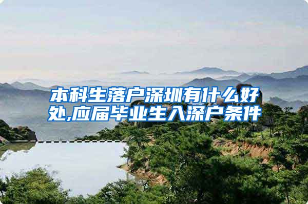 本科生落户深圳有什么好处,应届毕业生入深户条件