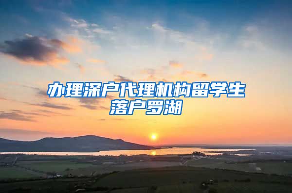 办理深户代理机构留学生落户罗湖