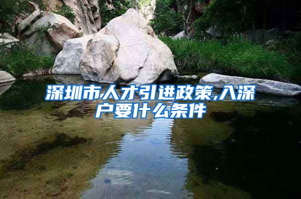 深圳市人才引进政策,入深户要什么条件