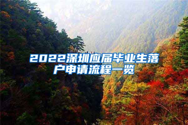 2022深圳应届毕业生落户申请流程一览