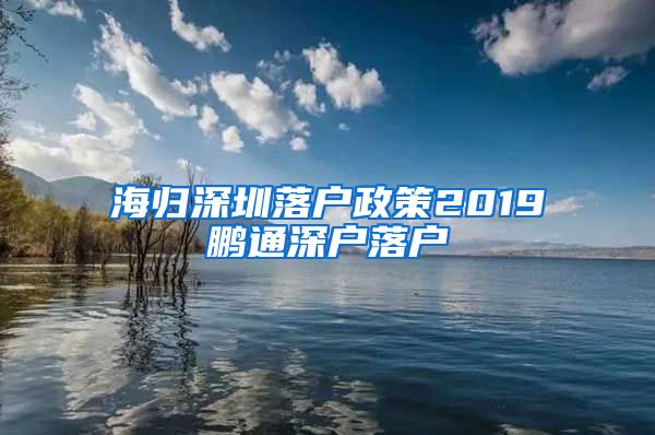 海归深圳落户政策2019鹏通深户落户