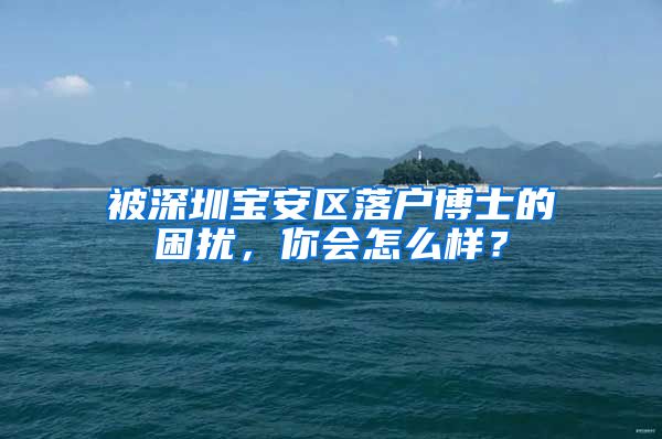 被深圳宝安区落户博士的困扰，你会怎么样？