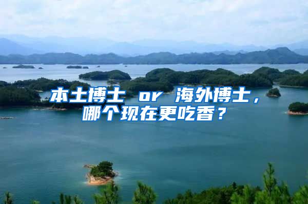 本土博士 or 海外博士，哪个现在更吃香？
