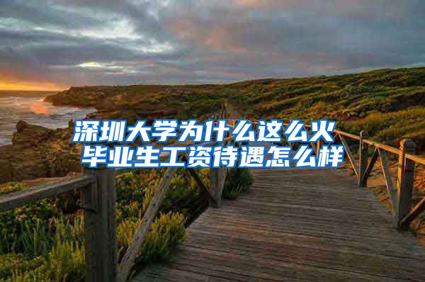 深圳大学为什么这么火 毕业生工资待遇怎么样