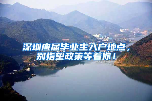 深圳应届毕业生入户地点，别指望政策等着你！