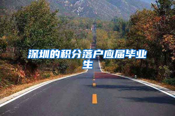 深圳的积分落户应届毕业生