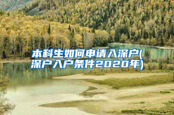 本科生如何申请入深户(深户入户条件2020年)