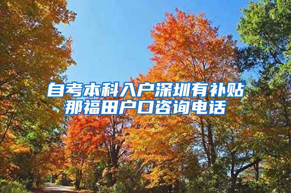 自考本科入户深圳有补贴那福田户口咨询电话