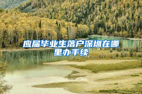 应届毕业生落户深圳在哪里办手续