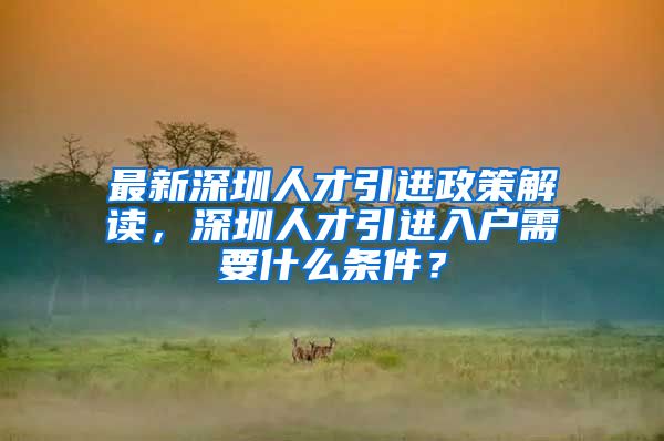 最新深圳人才引进政策解读，深圳人才引进入户需要什么条件？