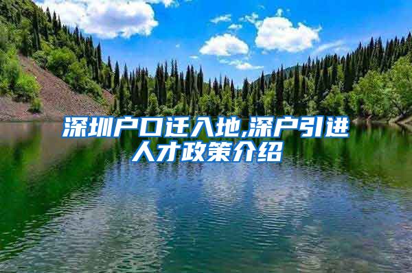 深圳户口迁入地,深户引进人才政策介绍