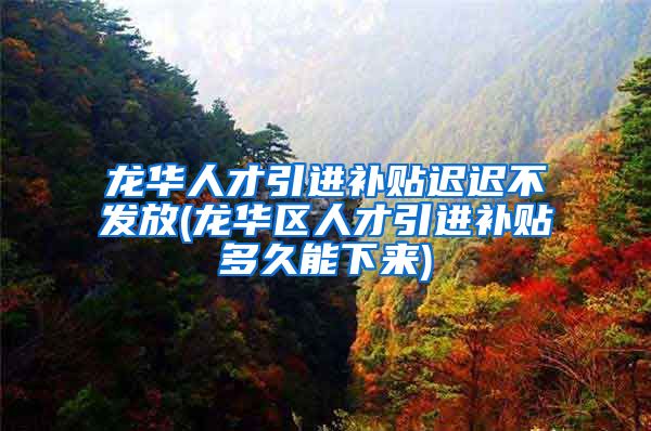 龙华人才引进补贴迟迟不发放(龙华区人才引进补贴多久能下来)