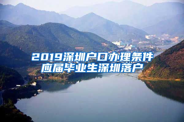 2019深圳户口办理条件应届毕业生深圳落户