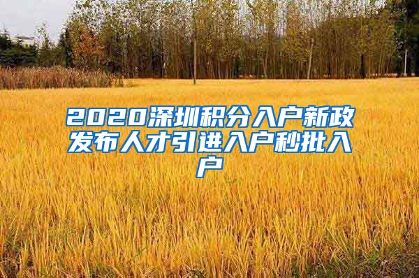 2020深圳积分入户新政发布人才引进入户秒批入户