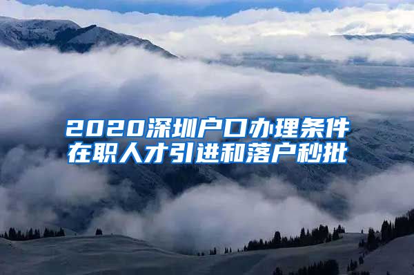 2020深圳户口办理条件在职人才引进和落户秒批
