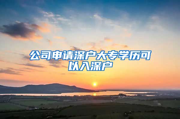 公司申请深户大专学历可以入深户