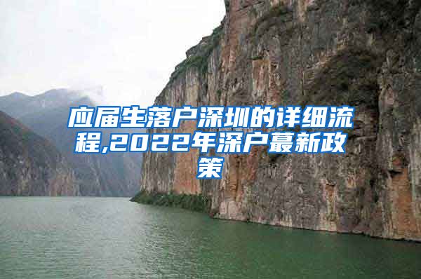 应届生落户深圳的详细流程,2022年深户蕞新政策