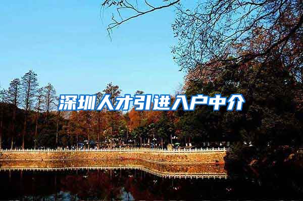 深圳人才引进入户中介