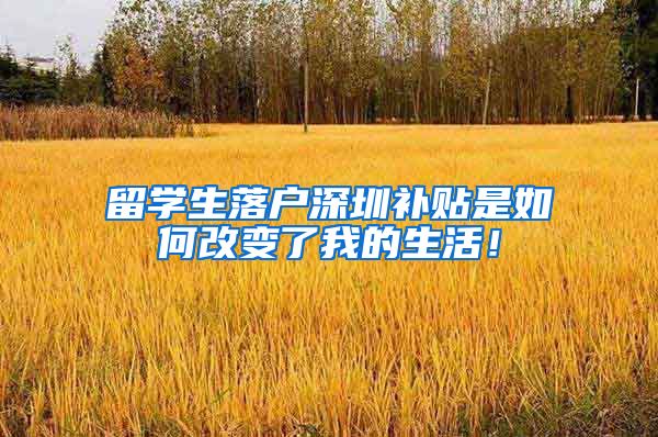 留学生落户深圳补贴是如何改变了我的生活！