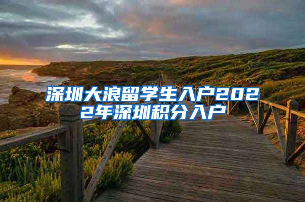 深圳大浪留学生入户2022年深圳积分入户