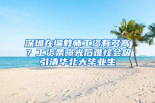 深圳在编教师工资有多高？工资条曝光后难怪会吸引清华北大毕业生