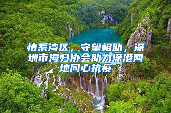 情系湾区，守望相助，深圳市海归协会助力深港两地同心抗疫
