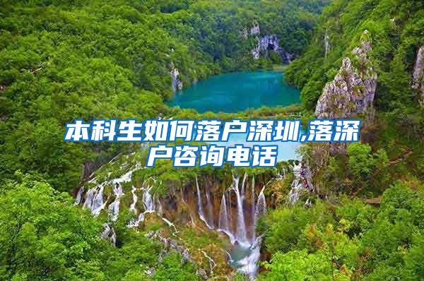 本科生如何落户深圳,落深户咨询电话