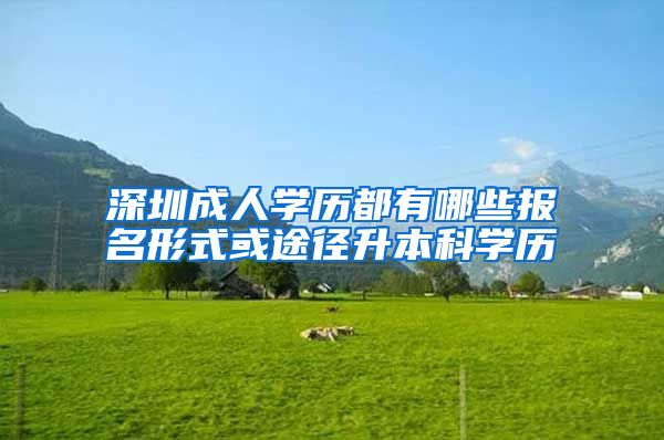 深圳成人学历都有哪些报名形式或途径升本科学历