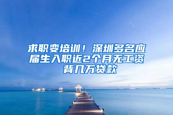 求职变培训！深圳多名应届生入职近2个月无工资 背几万贷款