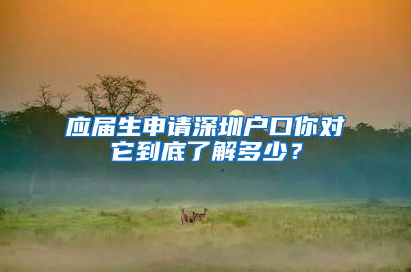 应届生申请深圳户口你对它到底了解多少？