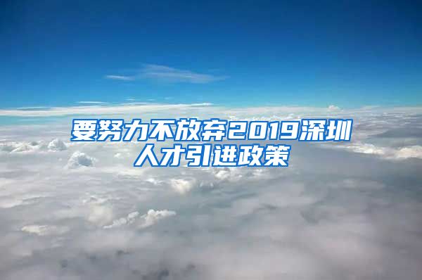 要努力不放弃2019深圳人才引进政策