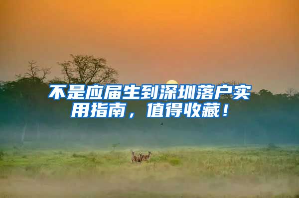 不是应届生到深圳落户实用指南，值得收藏！