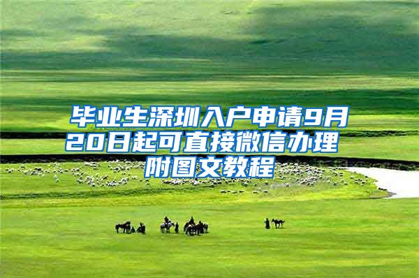 毕业生深圳入户申请9月20日起可直接微信办理 附图文教程