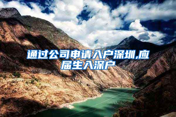 通过公司申请入户深圳,应届生入深户
