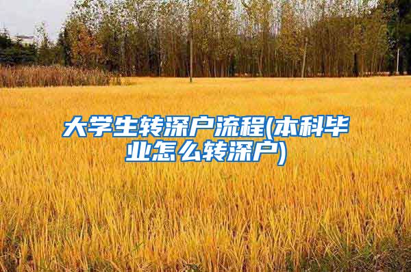 大学生转深户流程(本科毕业怎么转深户)