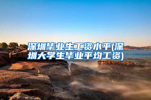 深圳毕业生工资水平(深圳大学生毕业平均工资)