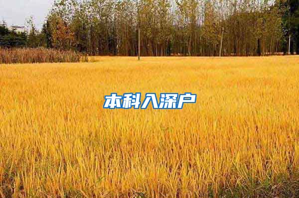 本科入深户