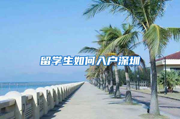 留学生如何入户深圳
