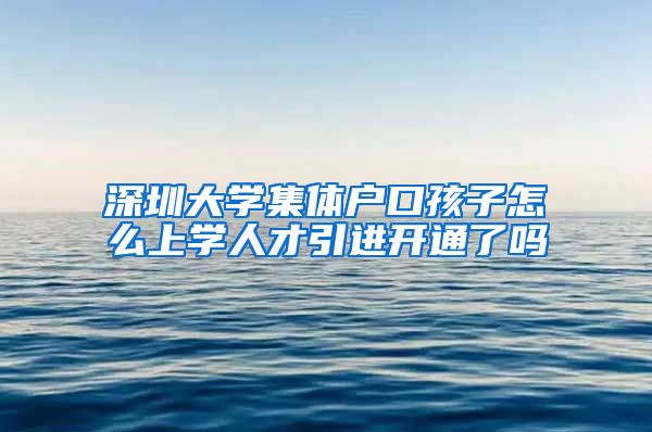 深圳大学集体户口孩子怎么上学人才引进开通了吗