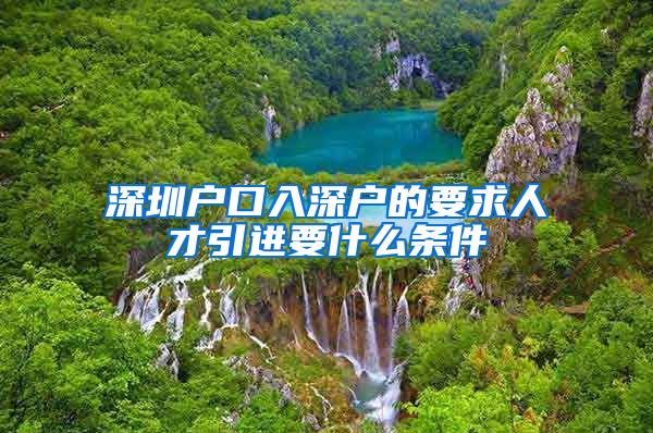 深圳户口入深户的要求人才引进要什么条件