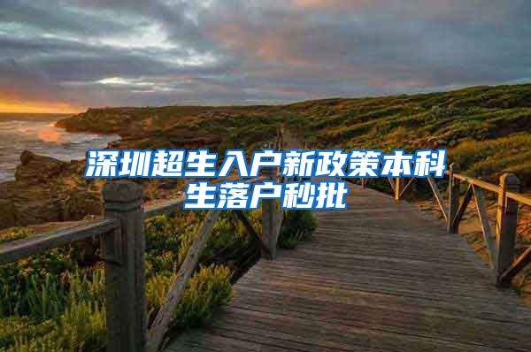 深圳超生入户新政策本科生落户秒批