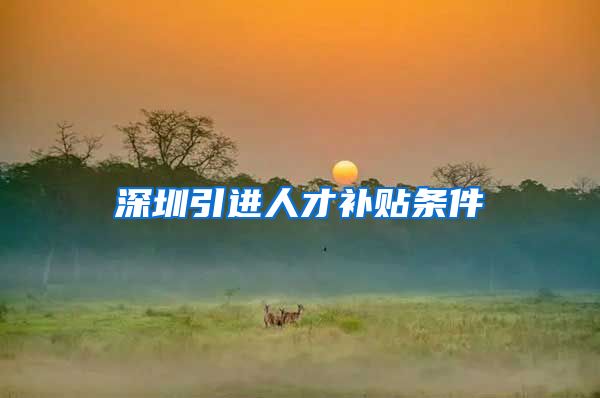 深圳引进人才补贴条件