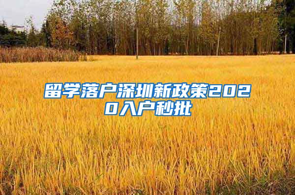 留学落户深圳新政策2020入户秒批