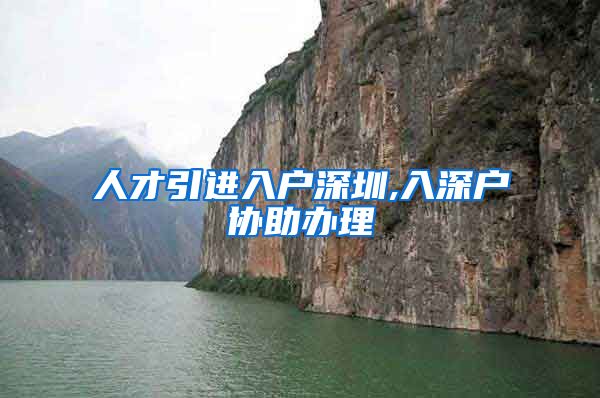 人才引进入户深圳,入深户协助办理