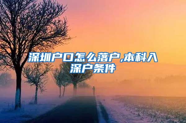 深圳户口怎么落户,本科入深户条件