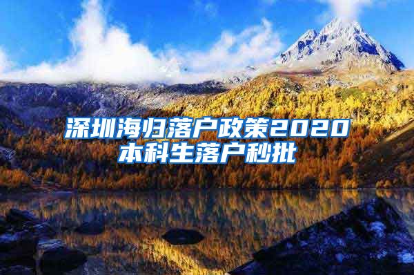 深圳海归落户政策2020本科生落户秒批